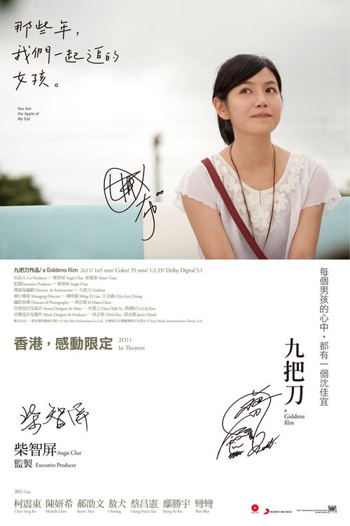 日本丰桥技术科学大学留信网认证